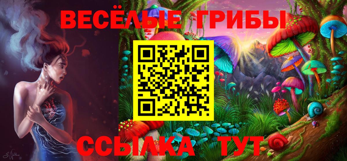 Галлюциногенные грибы Cubensis  Псилоцибиновые грибы GOLDEN TEACHER  Семёнов  Вход с VPN 