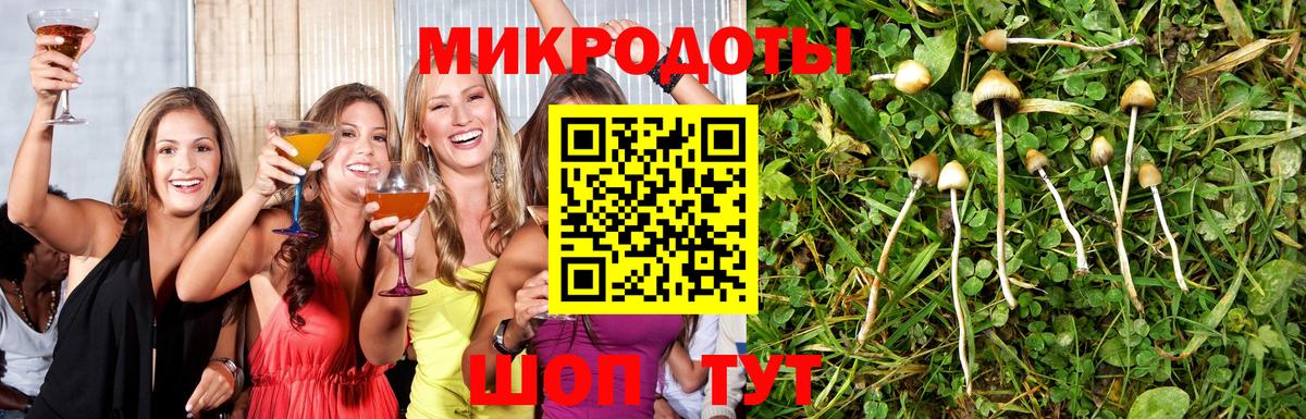 Псилоцибиновые грибы MAGIC MUSHROOMS Семёнов